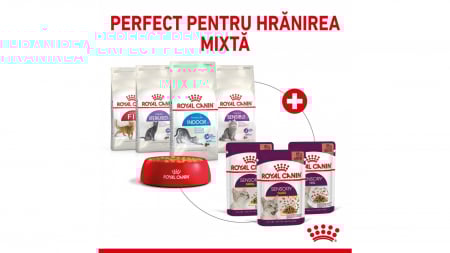 Royal Canin Sensory, pachet mixt, hrană umedă pisica, stimularea simțurilor (în sos), 12 x 85g [3]