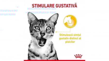 Royal Canin Sensory, pachet mixt, hrană umedă pisica, stimularea simțurilor (în sos), 12 x 85g [5]