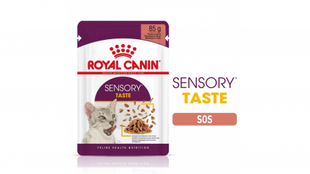 Pisici - Royal Canin Sensory Taste, hrana umeda pisica pentru stimularea gustului (in sos), 1 x 85 g