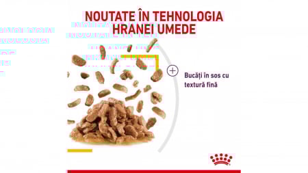Royal Canin Sensory, pachet mixt, hrană umedă pisica, stimularea simțurilor (în sos), 12 x 85g [4]