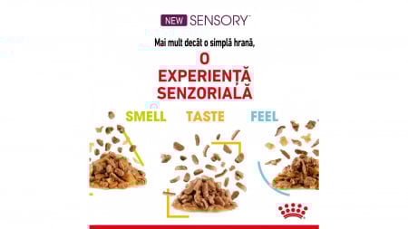 Royal Canin Sensory, pachet mixt, hrană umedă pisica, stimularea simțurilor (în sos), 12 x 85g [6]