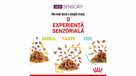 Royal Canin Sensory Taste, hrana umeda pisica pentru stimularea gustului (in sos), 1 x 85 g [6]