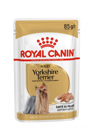 Hrana Umeda Caini - Royal Canin Yorkshire Terrier Adult hrana umeda caine (pate), 12 x 85 g