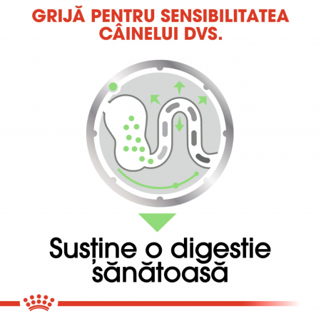 Royal Canin Digestive Care Adult hrana umeda caine, confort digestiv (pate), 85 g [6]