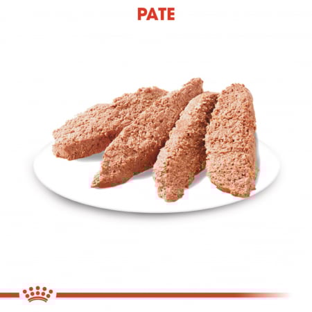 Royal Canin Urinary Care Adult hrana umeda caine, sanatatea tractului urinar (pate), 12 x 85 g [6]
