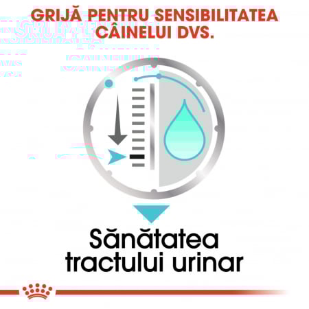 Royal Canin Urinary Care Adult hrana umeda caine, sanatatea tractului urinar (pate), 12 x 85 g [7]