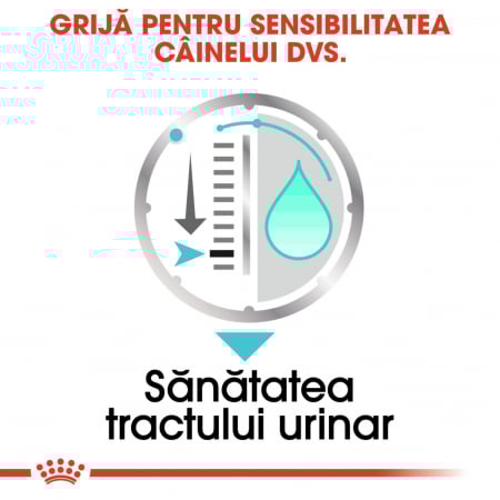 Royal Canin Urinary Care Adult hrana umeda caine, sanatatea tractului urinar (pate), 12 x 85 g [4]