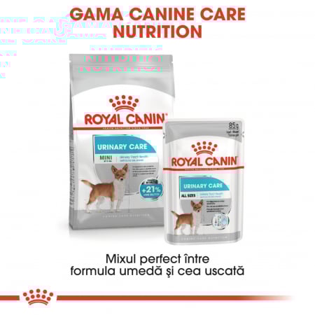 Royal Canin Urinary Care Adult hrana umeda caine, sanatatea tractului urinar (pate), 12 x 85 g [8]