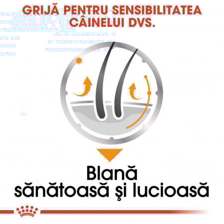 Royal Canin Coat Care Adult hrana umeda caine, blana sanatoasa si lucioasa (pate), 12 x 85 g [5]