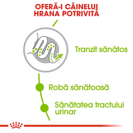Royal Canin X-Small Adult, hrana uscata caini, 3kg [5]