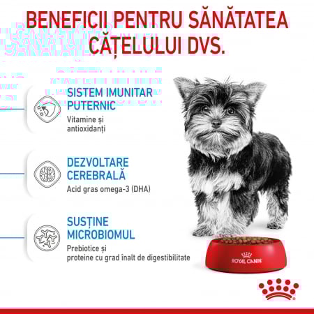 Royal Canin X-Small Puppy hrana uscata caine junior, 1.5 kg [7]