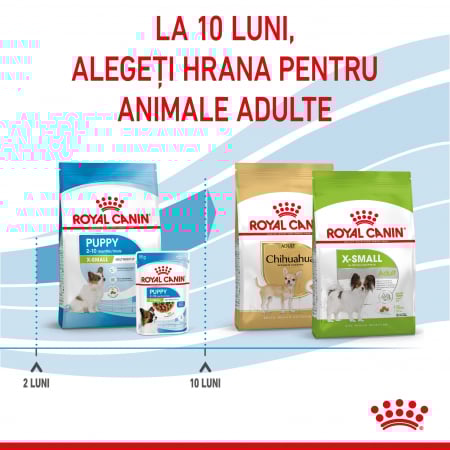 Royal Canin X-Small Puppy hrana uscata caine junior, 1.5 kg [4]