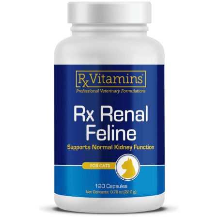 Farmacie Pisici - RX Renal Pisica 120 capsule