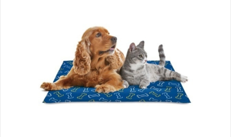 Paturi, perne si cosuri pentru caini - Saltea refrigeranta pentru animale – Cool Mat Bones - 50x40cm