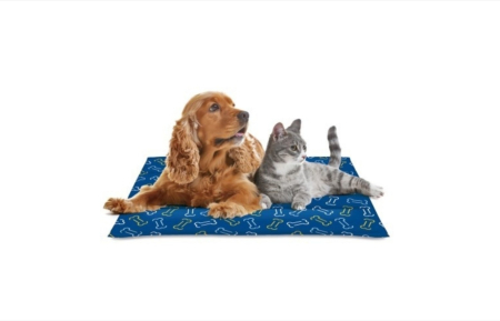 Paturi, perne si cosuri pentru pisici - Saltea refrigeranta pentru animale – Cool Mat Bones Nayeco - 50x90cm