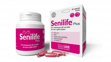 Suplimente nutritive, vitamine - Senilife Plus, 60 capsule