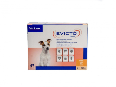 produse In Stoc - Evicto 60mg 5-10 kg x 4 pipete