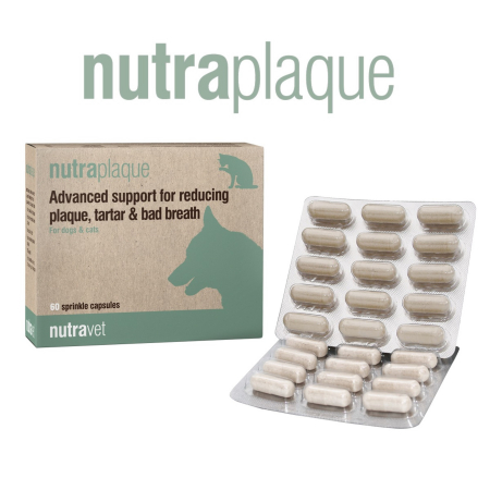 Igiena Catel - Supliment Nutraplaque pentru Câini și Pisici - 60 capsule