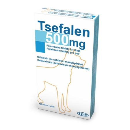 Antibiotice Orale - Tsefalen, 500 mg ICF/ 10 tablete