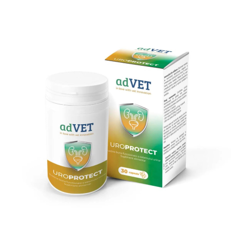 Afectiuni Renale / Urinare - Uroprotect, supliment, flacon 30 capsule