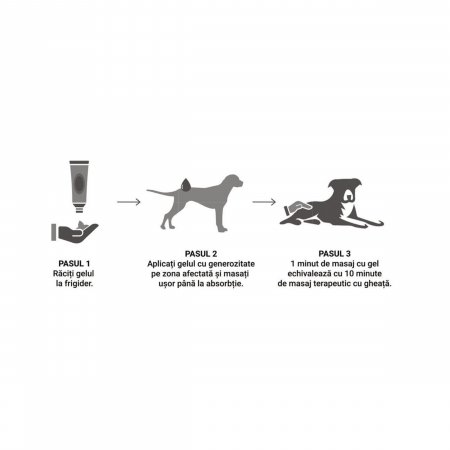 VETAPRO orthovet gel dog&cat 60ml [2]
