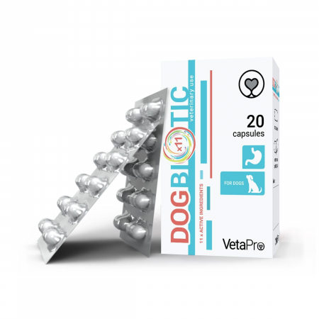 Caini - VETAPRO dogbiotic 20caps/cut suport digestiv caini