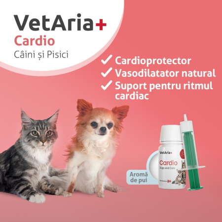 VetAria+ Cardio Câini și pisici, Suspensie orală palatabilă cu aromă de pui, Flacon de 45 ml [1]