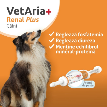 VetAria+ Renal Plus Dogs, Pastă palatabilă cu aromă de pește, Seringă preumplută de 60 ml [1]