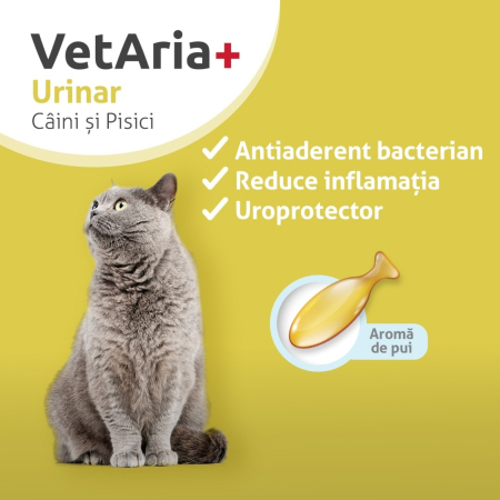 VetAria+ Urinar Câini și pisici, cutie cu 30 capsule twist off, palatabile, cu aromă de pește [2]