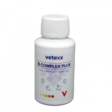 Farmacie Ovine - Vetexx B-Complex Plus 100 ml