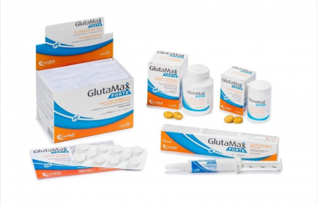 Pisici - GlutaMax Forte Caine suport pentru functia hepatica - 120 Comprimate