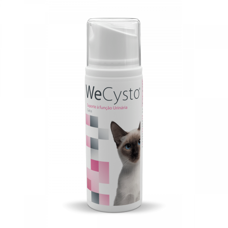Afectiuni Renale / Urinare - WECYSTO supliment nutritiv pentru a sustine functia urinara, 100 ML