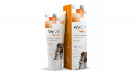 Suplimente nutritive, vitamine - WEVIT TASTY 100 GR