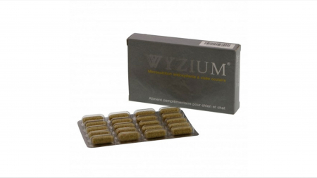 Suplimente nutritive, vitamine - Wyzium pentru caini si pisici, 40 comprimate