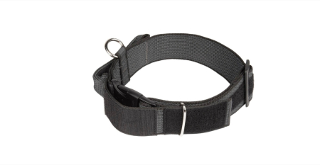 Zgarda caine Julius K9 Color & Gray, maner si inchidere siguranta - 40mm - Gri [2]