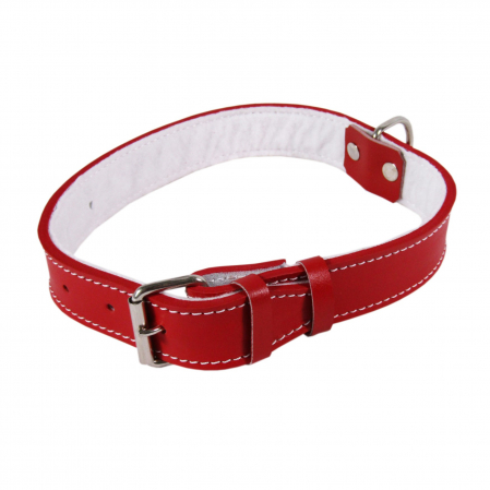 Caini - Zgarda Piele Tip 22 (50 Cm/22 Mm) Cu Pasla - Rosu