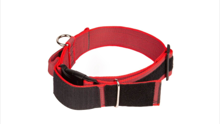 Zgarda caine Julius K9 Color & Gray, maner si inchidere siguranta - 49 - 70 cm - Rosu [1]