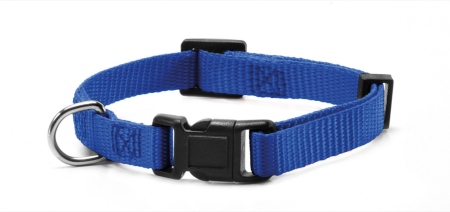 Hamuri, Lese si Zgarzi - Zgarda reglabila Record, nylon - 1.0cmx20-30cm - Albastru