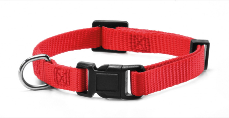 Hamuri, Lese si Zgarzi - Zgarda reglabila Record, nylon - 1.5cm x 33-40cm - Rosu