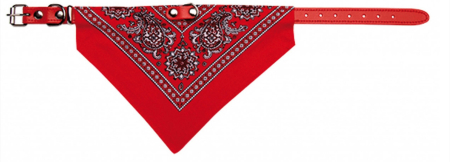 Hamuri, Lese si Zgarzi - Zgarda piele Record, cu bandana - M  35 cm