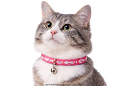 Zgarda pentru pisici din cauciuc Record - Roz 1cm x 30 cm [1]