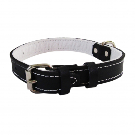 Caini - Zgarda Piele Tip 22 (50 Cm/22 Mm) Cu Pasla - Negru