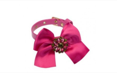 Hamuri, Lese si Zgarzi - Zgarda Morgana Charlotte's Dress- 25cm - Fucsia