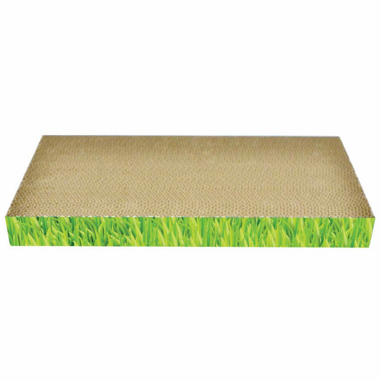Carton de zgariat pentru pisici, 48.26 22.86 5.08 cm, Verde 48.26×22.86×5.08 cm