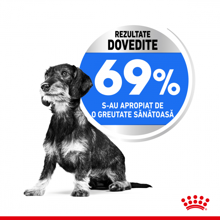 Royal Canin XSmall Light Weight Care Adult hrana uscata caine, limitarea cresterii in greutate, 500 g [3]