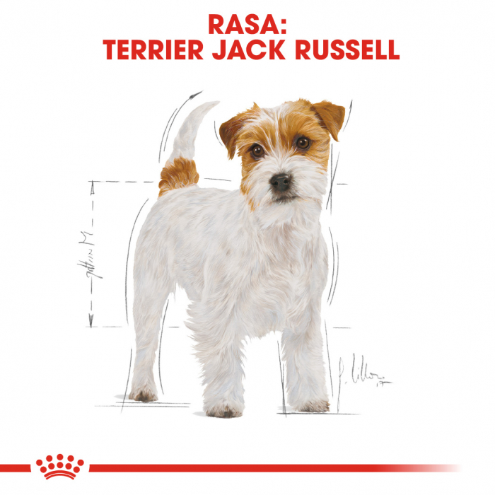 Royal Canin Jack Russell Terrier Adult, hrana uscata caini, 1.5 kg [2]