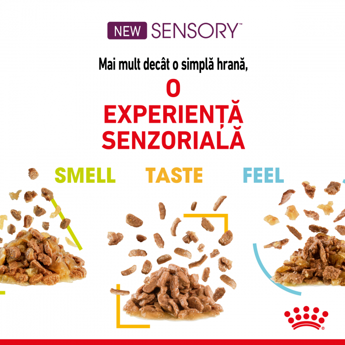 Royal Canin Sensory Feel, hrana umeda pisici, stimularea simtului tactil (in sos), 12 x 85 g [3]