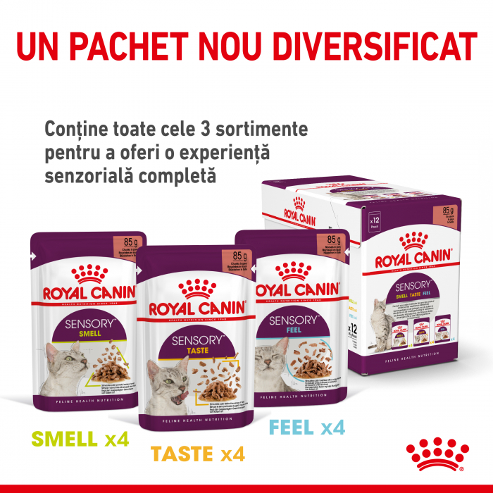 Royal Canin Sensory Feel, hrana umeda pisici, stimularea simtului tactil (in sos), 12 x 85 g [5]