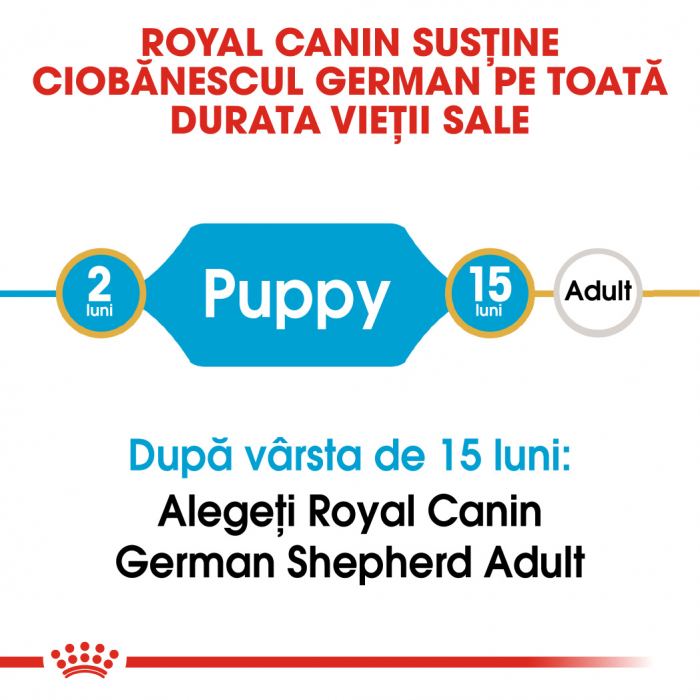 Royal Canin German Shepherd Puppy hrana uscata caine junior Ciobanesc German, 3 kg [2]