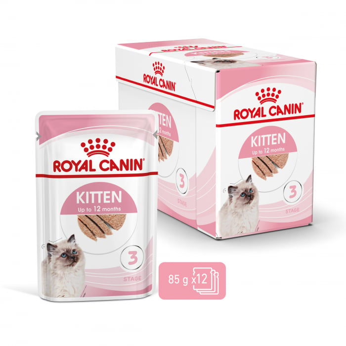 Royal Canin Kitten hrana umeda pisica (pate), 12 x 85 g [11]
